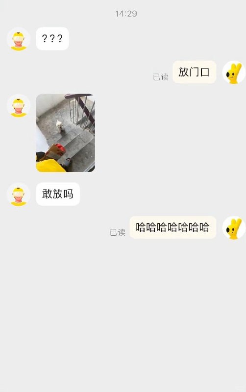 #狗子 闻着味就来了#狗子 闻着味就来了
