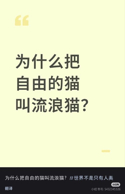 人类群星闪耀之时#女性力量 #小红书人类群星闪耀之时#女性力量 #小红书
