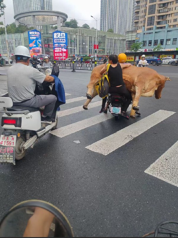 马路 冒险王 #超载 了一点点马路 冒险王 #超载 了一点点
