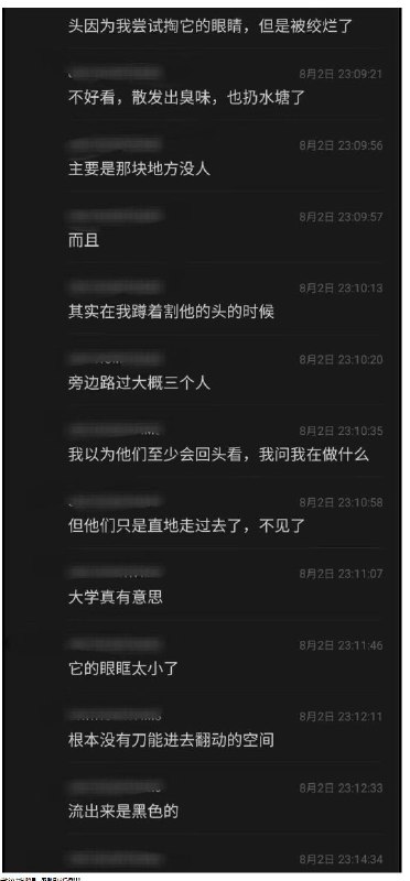 上海 东海职业技术学院 #虐猫 #事件 #聊天记录上海 东海职业技术学院 #虐猫 #事件 #聊天记录