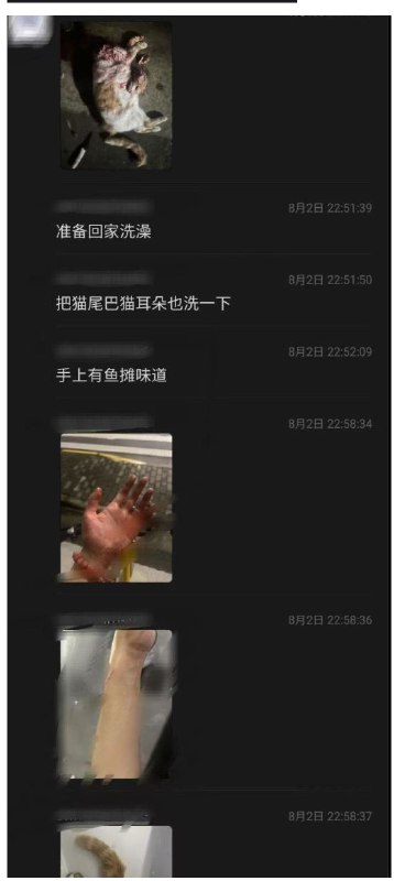 上海 东海职业技术学院 #虐猫 #事件 #聊天记录上海 东海职业技术学院 #虐猫 #事件 #聊天记录