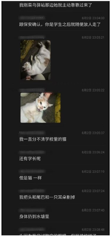 上海 东海职业技术学院 #虐猫 #事件 #聊天记录上海 东海职业技术学院 #虐猫 #事件 #聊天记录