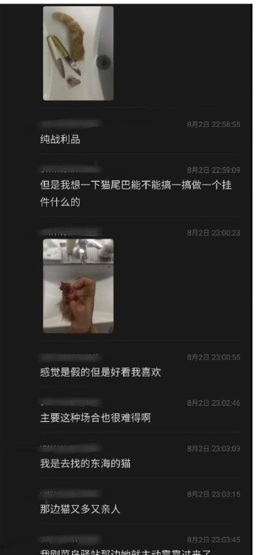 上海 东海职业技术学院 #虐猫 #事件 #聊天记录上海 东海职业技术学院 #虐猫 #事件 #聊天记录